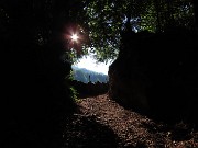 15 Dal bosco ombroso ai soleggiati prati delle Stalle Aral (1000 m) 